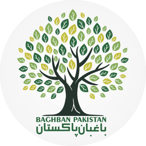 باغبان پاکستان