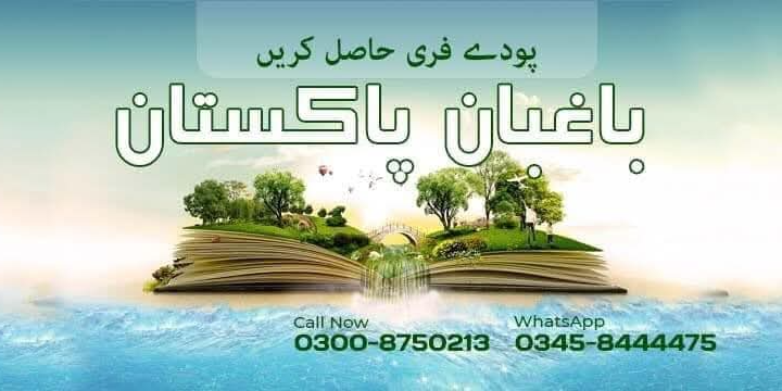 باغبان پاکستان